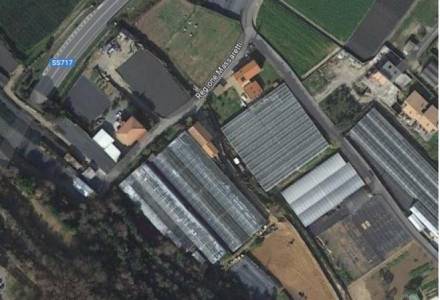 Farm with house, workshop, office, greenhouses, land