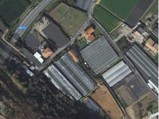 Azienda agricola con casa laboratorio ufficio serre terreni - 1